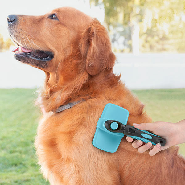 Brosse pour animaux de compagnie avec dents rétractables - livraison offerte