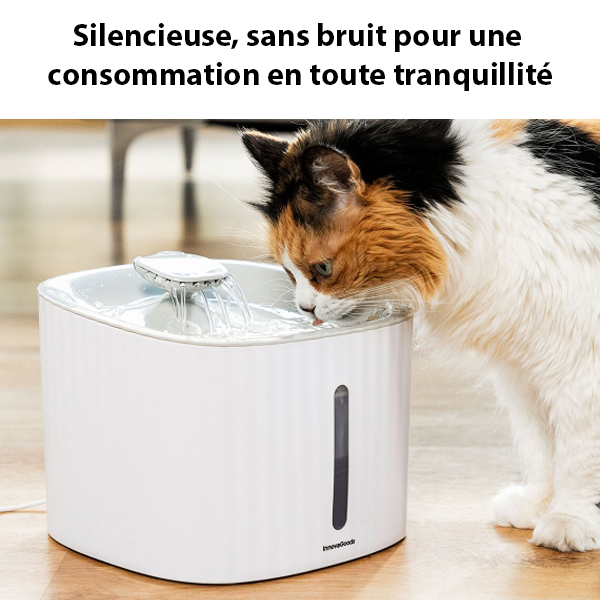 Fontaine à eau pour animaux de compagnie - TZ