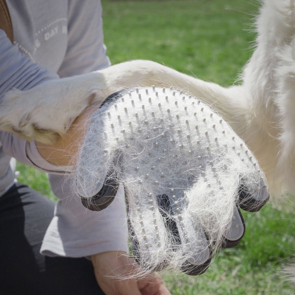 Gant pour brosser et masser les animaux - Livraison offerte