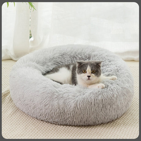 Coussin lit en peluche pour animaux de compagnie - Livraison Offerte