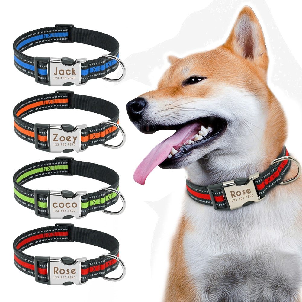 Collier personnalisé réfléchissant en nylon pour chien avec gravure de vos coordonnées - Livraison Offertes