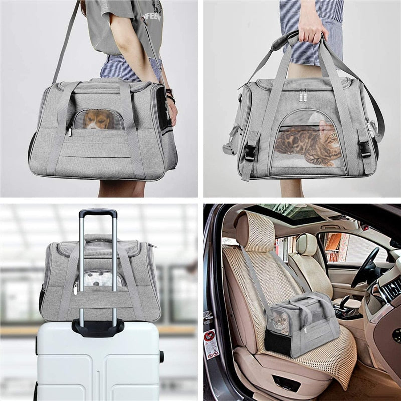 Sac de transport respirant et pliable pour animaux de compagnie - Livraison Offerte