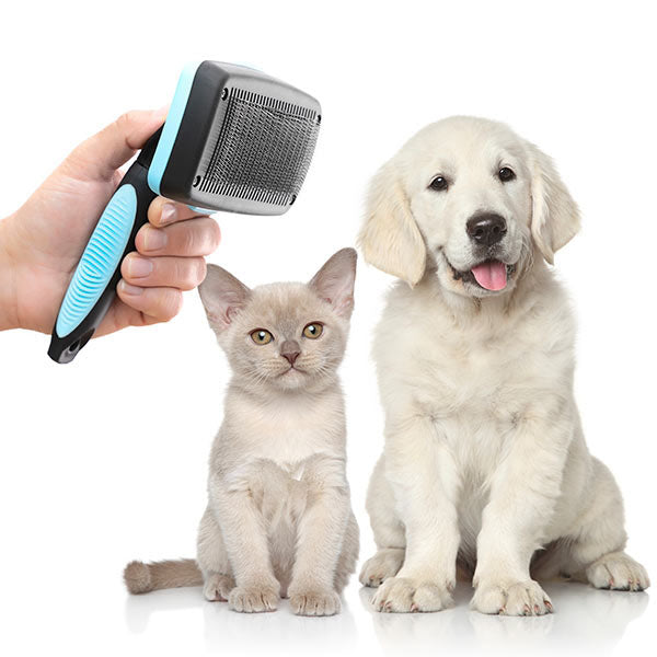 Brosse pour animaux de compagnie avec dents rétractables - livraison offerte