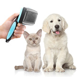 Brosse pour animaux de compagnie avec dents rétractables - livraison offerte