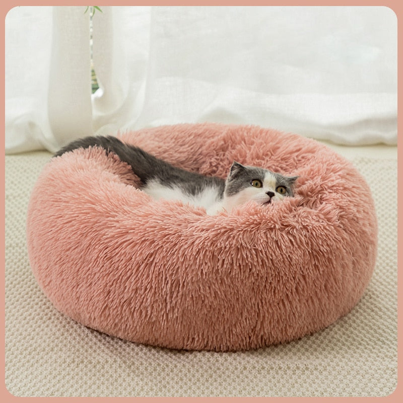 Coussin lit en peluche pour animaux de compagnie - Livraison Offerte